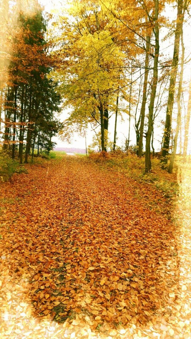 Herbst2