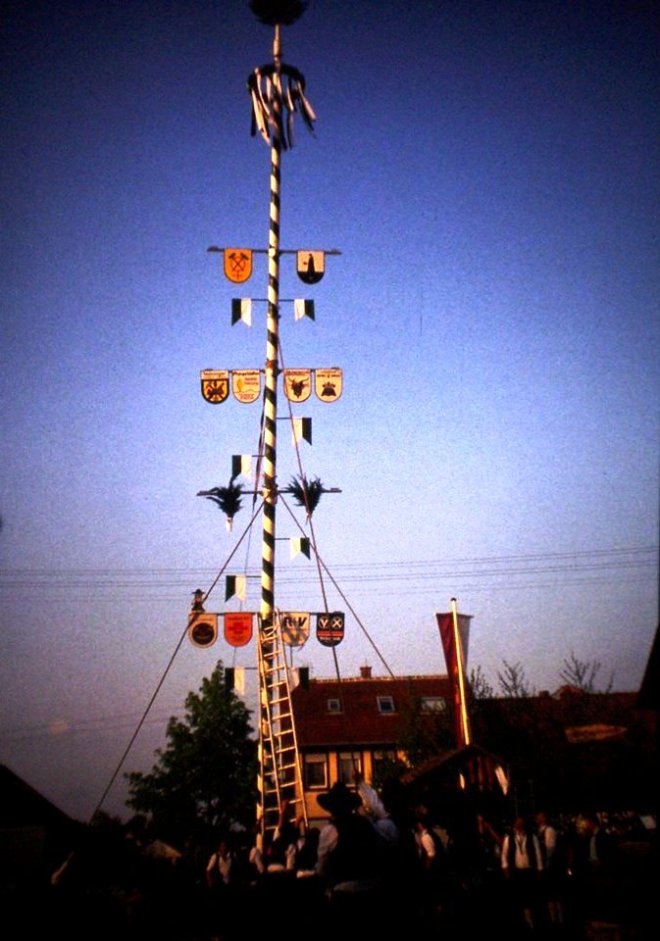 Maibaum_Mönchzell_Walpurgisnacht