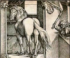 Dürer
