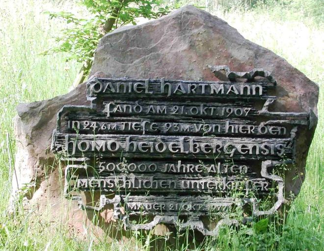 Homo_heidelbergensis_-_Gedenkstein.jpg