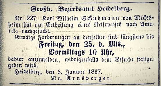 heidelbergerzeitung18670108