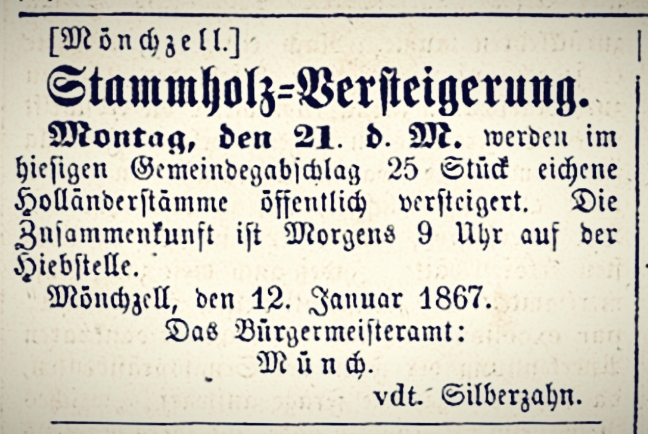 heidelbergerzeitung18670115