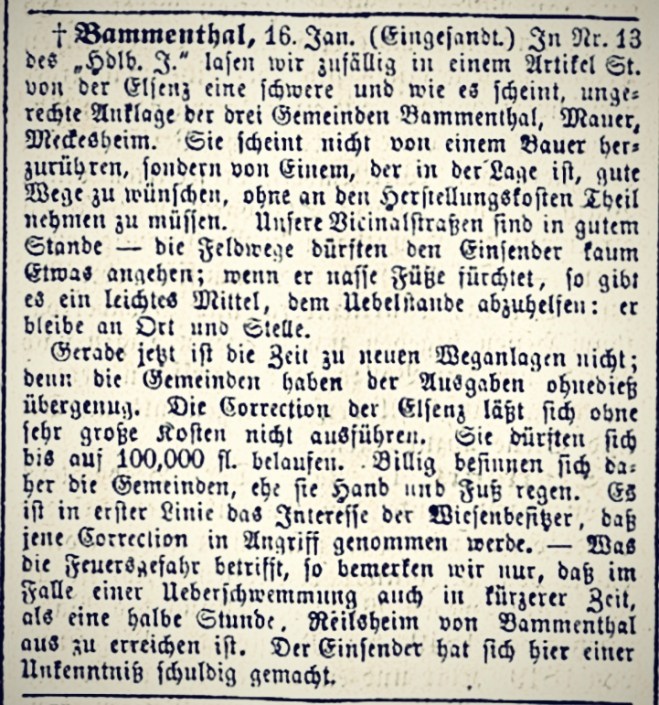 heidelbergerzeitung18670121