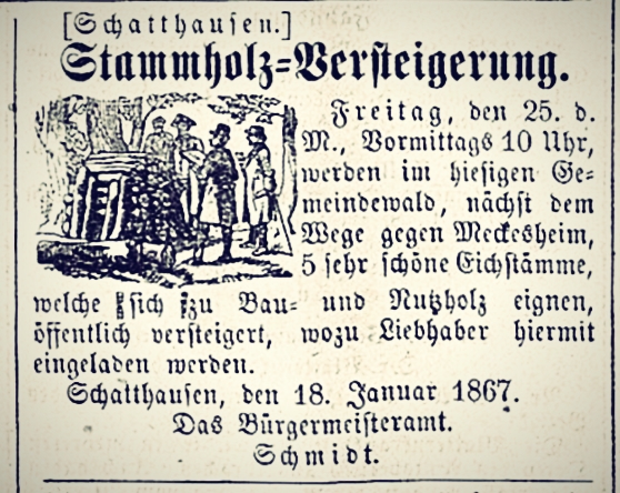 heidelbergerzeitung18670123