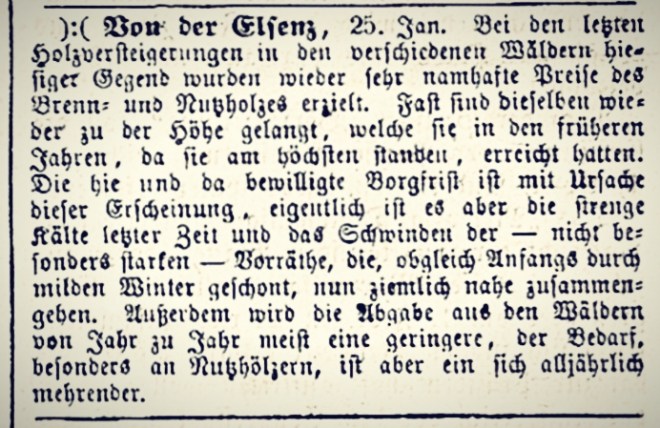 heidelbergerzeitung18670131