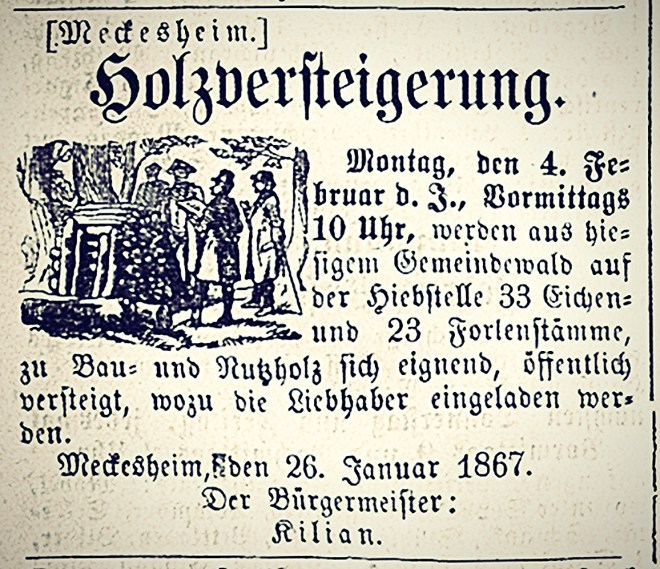 heidelbergerzeitung18760130