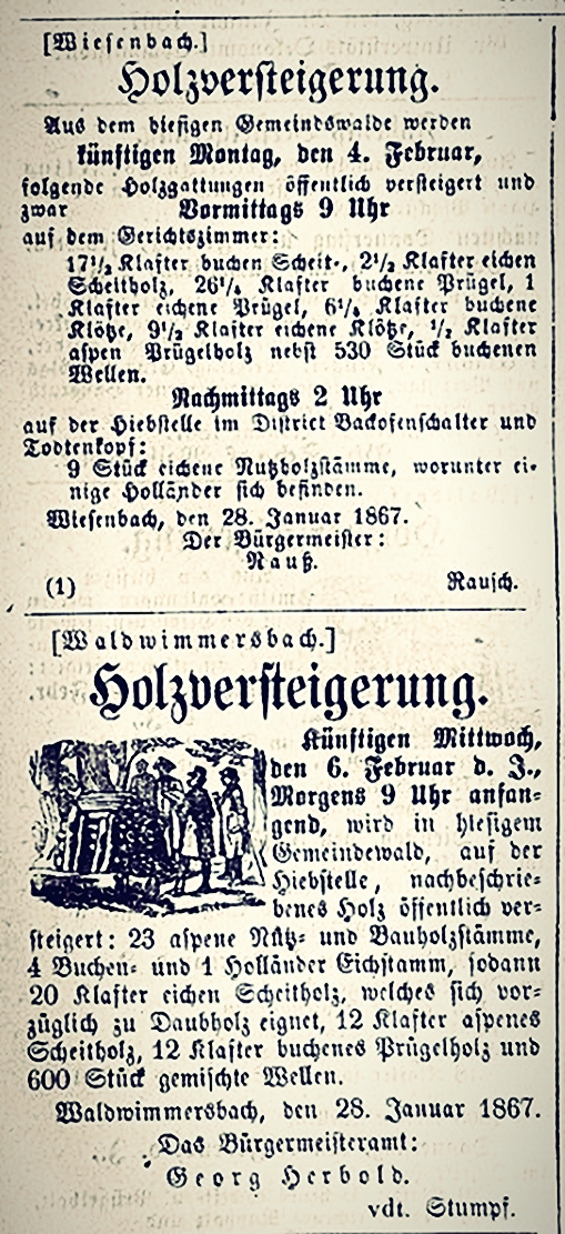 HeidelbergerZeitung18760131.jpg