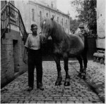 004a-1936-1937-Helmut-Heiss-mit-Pferd-im-Hof